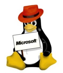 pinguim-red-hat-microsoft-20090217135630